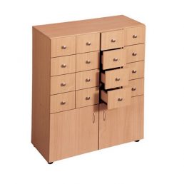 Mobilier biblioteci | dulap fise autori | DSM 4.4 producator DistinctMob